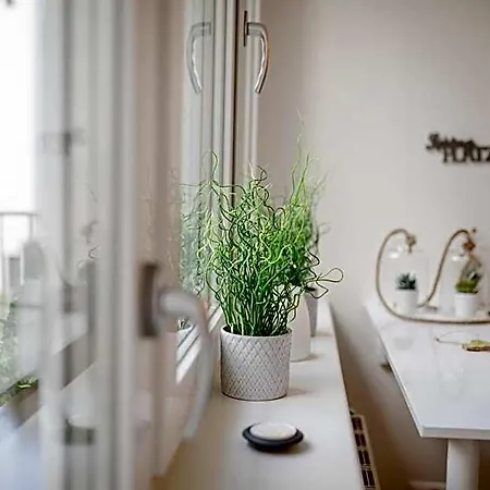 Gospodarstwo agroturystyczne Zimmer-graz